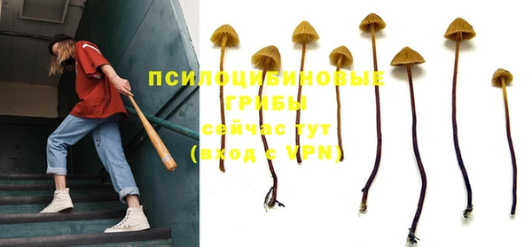 таблы Козловка