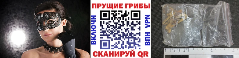 Галлюциногенные грибы ЛСД  где найти наркотики  Медвежьегорск 